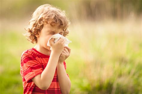 Can allergies cause fever in kids? Plus, other common allergy questions answered