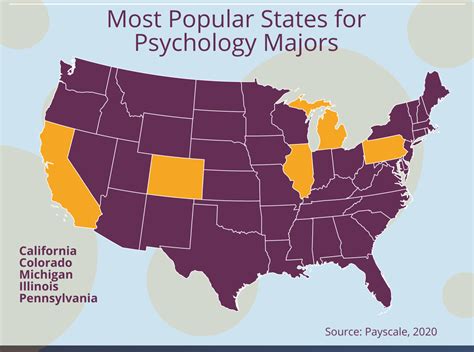 What Can I Do with a Bachelor's in Psychology? - Bachelors Degree Center