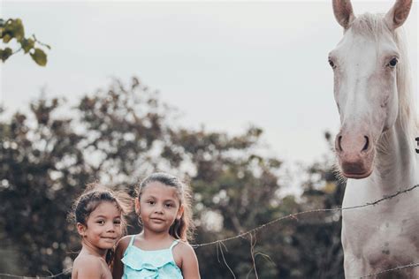 Horse With Girls Photos, Download The BEST Free Horse With Girls Stock ...