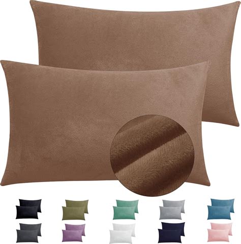 2 Pack Zippered Velvet Queen Pillowcases, Super Soft and Cozy Luxury ...
