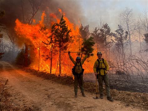 Wildland Fire 101 | Minimum Requirements for Becoming a Wildland ...