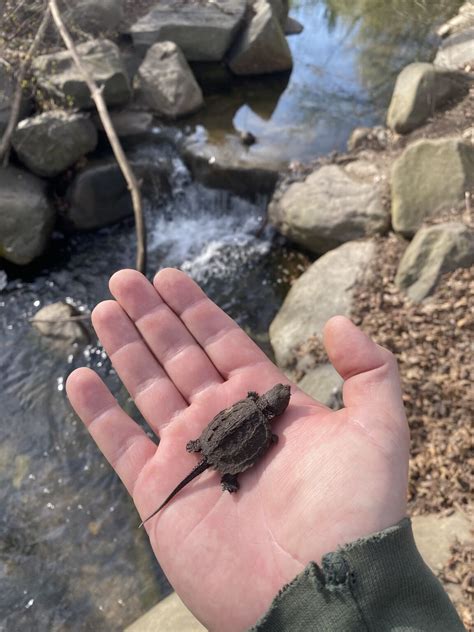 You never know what you might find working in our Parks. Our Forester ...