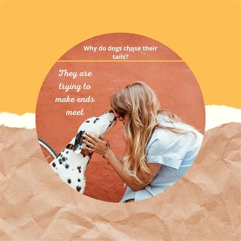 DICKSON ANIMAL CLINIC - Gastonia NC - Hours, Directions, Reviews ...