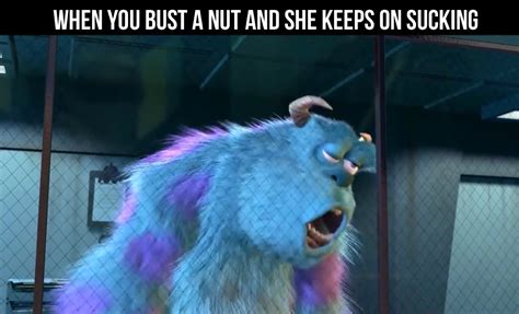 The best Sully memes :) Memedroid