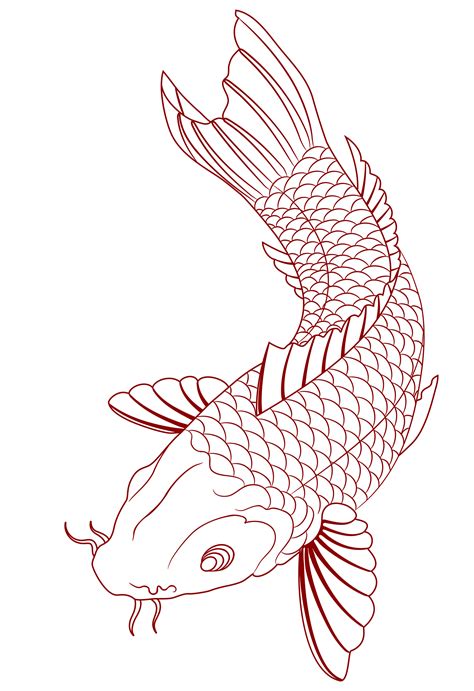 Koi Fish Outline - Printable Free Templates