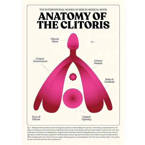 Anatomy of the Clitoris - maduro.dk