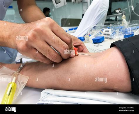 Blood platelet donation, a male nurse inserts a needle into donor's arm ...