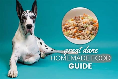 Great Dane Homemade Dog Food Guide: Recipes & Nutrition Advice - Canine ...