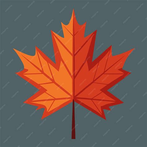 Maple Leaves Clip Art Desenho de Ilustração Vector | vetor Premium ...
