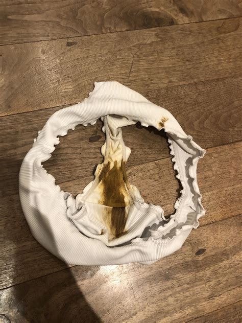 Free Porn Panty Videos