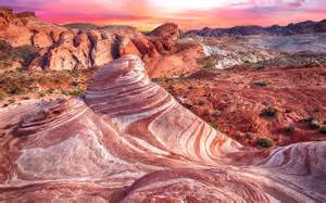 Wildlife In Valley Of Fire State Park