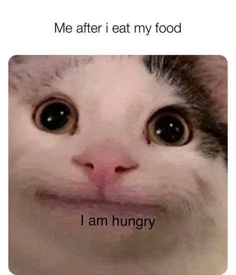 Hungry Meme
