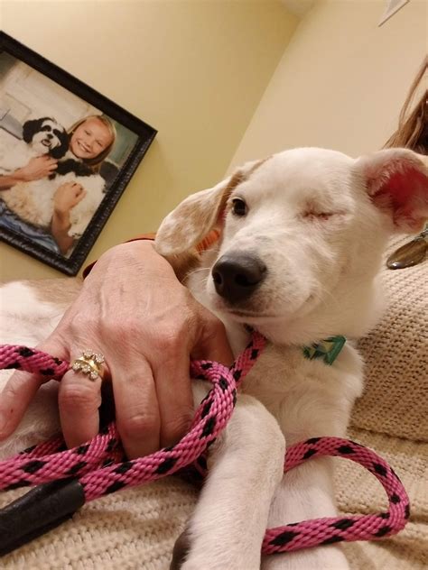 INVER GROVE HEIGHTS ANIMAL HOSPITAL - Inver Grove Heights MN - Hours ...