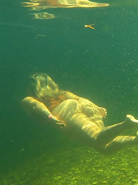 Brazilian Adventure (@brazilianadventure) - Urlebird