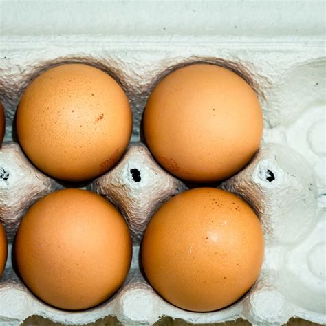 Different Types Of Eggs, Everything Explained