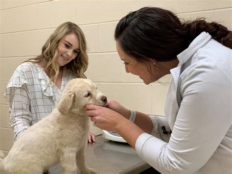 Veterinary Whittemore Michigan at Sergio Hasting blog