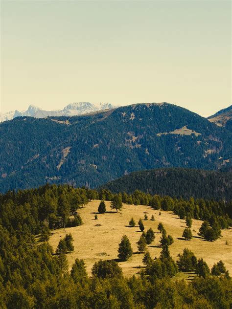 Mom+Big+Ass+Pics Photos, Download The BEST Free Mom+Big+Ass+Pics Stock ...