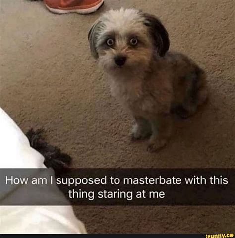 How amI supposed to masterbate with this thing staring at me - iFunny