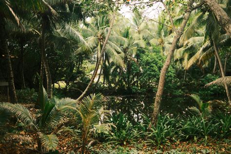 Big+Butts+In+Thongs Photos, Download The BEST Free Big+Butts+In+Thongs ...