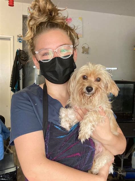 Check out... - Foster Army Animal Rescue & FAAR Thrift Store