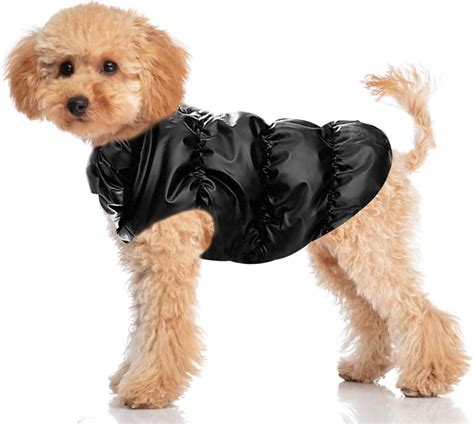 Cute Dog Coats Uk at Tasha Hyman blog
