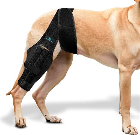 Amazon.com : Dog Leg Braces for Back Leg - Dog Knee Brace For Support ...