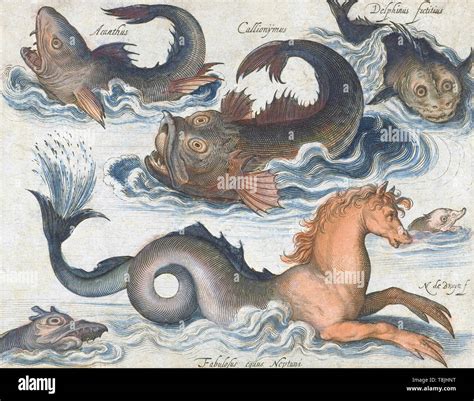 Mythical sea creatures hi-res stock photography and images - Alamy