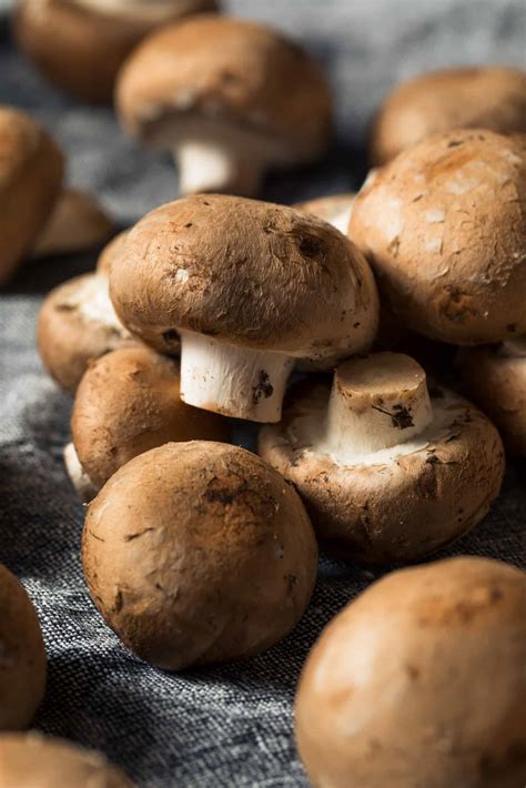 Are Baby Bella Mushrooms Bad For Dogs