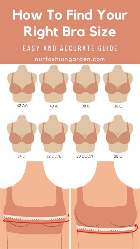 How to Find Your Bra Size: The Easy Guide | Find bra size, Bra size ...