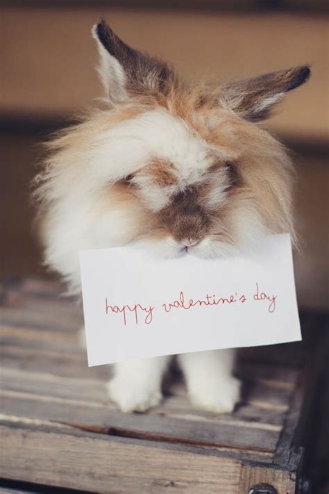 Helena Valentine Porn Videos