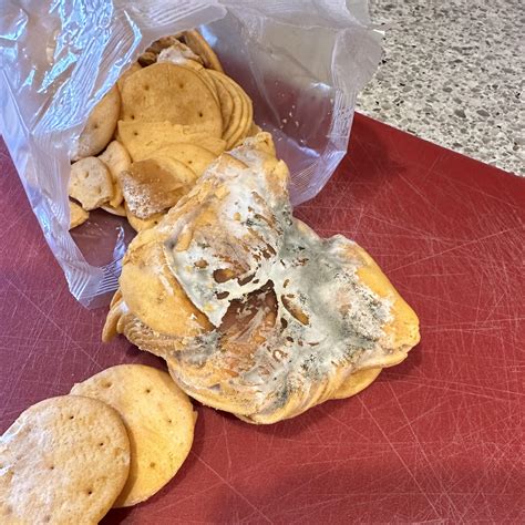 Opened a new box of Better Cheddars today and... : r/mildlyinfuriating
