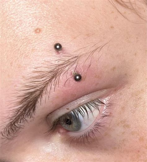 Rejecting or Infected eyebrow piercings(?) : r/piercing