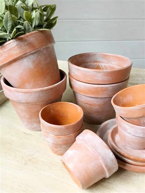Terra Cotta Pots at Lucy Sutcliffe blog