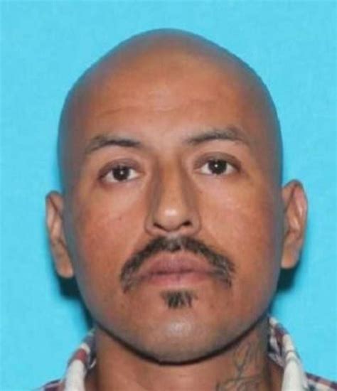 Mugshots: Laredo police seize over $1.4M worth of pot, 3 arrested