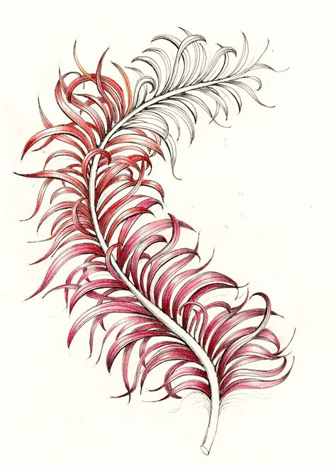 Federleicht - CRAFT & FLOW