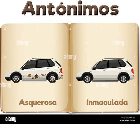 A vector cartoon illustration of Spanish language vocabulary for clean ...