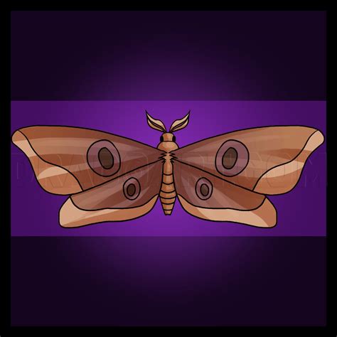 How To Draw A Moth, Drawing, Step by Step, by Dawn - DragoArt