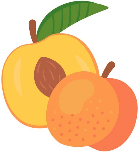 Free peach art, Download Free peach art png images, Free ClipArts on ...
