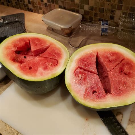 Pathway Success : r/gardening