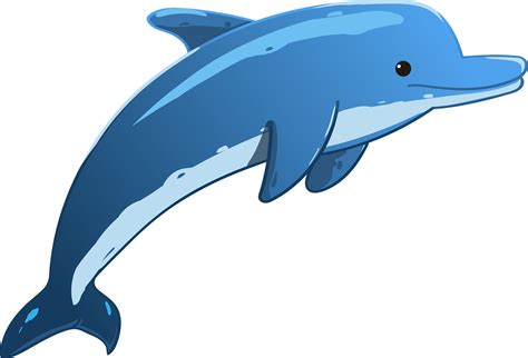 Dolphin Clipart