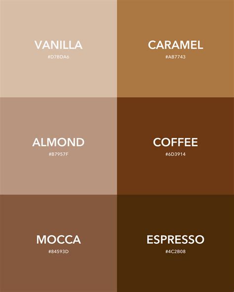 Brown and Cream Color Palette