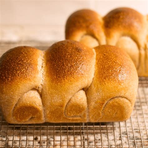 What does a 100% Hydration Sourdough Starter mean? - Living Bread Baker