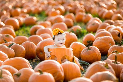 Cal Poly Pomona Pumpkin Patch Photography - San Dimas Family Photography