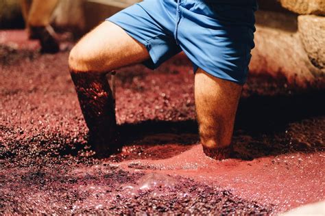 How Old School Grape Crushing by Foot Makes Better Wine | Alcohol Professor