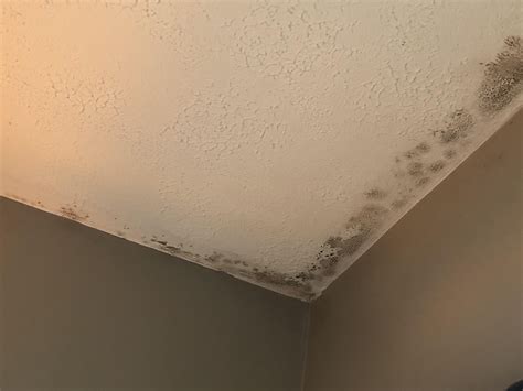 I'm pretty sure this is "just" mildew. The issue is, I guess, removing ...