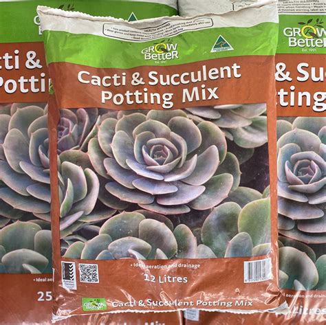 Fafard Cactus & Succulent Potting Mix at Lindy Rossi blog