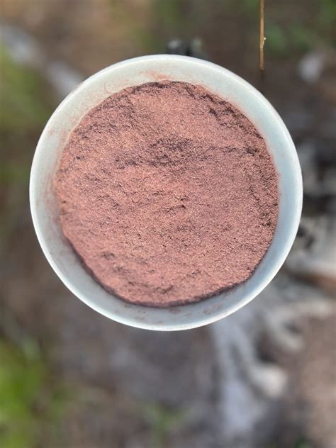 Jurema Preta (Mimosa Hostilis) (Mimosa Tenuiflora) MHRB