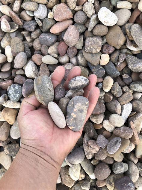 Arizona River Rock. 1/2 - 3/4-1’ &. 2-3 inch - 3-5 inch. for Sale in ...