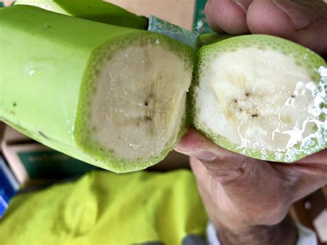 Do Bananas Have Seeds Inside Of Them at Tashia Wood blog