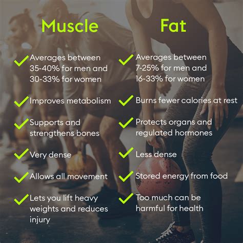 Is muscle heavier than fat?